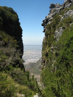 Cape Mountain Treks - Table Mountain Treks and Tours - guided hiking, treks, tours, walks in Cape Town and surrounds. Mountain Treks. Trekking Cape Town. Hiking Cape Town. Cape Town hikes. Hiking trails. This is the most popular, quickest, oldest and the busiest route to the top of Table Mountain (the upper cable station) even with being a moderate to strenuous ascent. The hike starts at the lower cable station with a short ascent to the Contour Path, which will be followed until the crystal clear stream in Platteklip Gorge is reached. After passing by indigenous trees such as Wild Olive, Silky Bark and Red Alder, the winding climb is enjoyed at a leisurely pace all the while taking in the awesome views over the Mother City, the beauty of the fynbos, birdsong and the majesty of the mountain. Once at the top, traverse the Upper Table to Maclear’s Beacon (1084.6m AMSL), before heading across to the cable car.