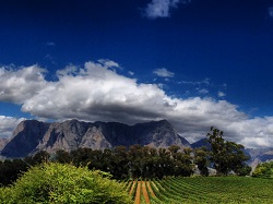 Stellenbosch. Cape Winelands. Table Mountain Treks and Tours - guided hiking, treks, tours, walks in Cape Town and surrounds.
