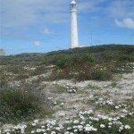 Slangkop Lighthouse, Kommetjie. Table Mountain Treks and Tours. Guided Hikes.