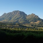 Simonsberg, Cape Winelands. Table Mountain Treks and Tours. Guided Wineland Tours.