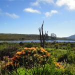 Woodhead Dam, Table Mountain. Table Mountain Treks and Tours. Cape Hiking Trails.